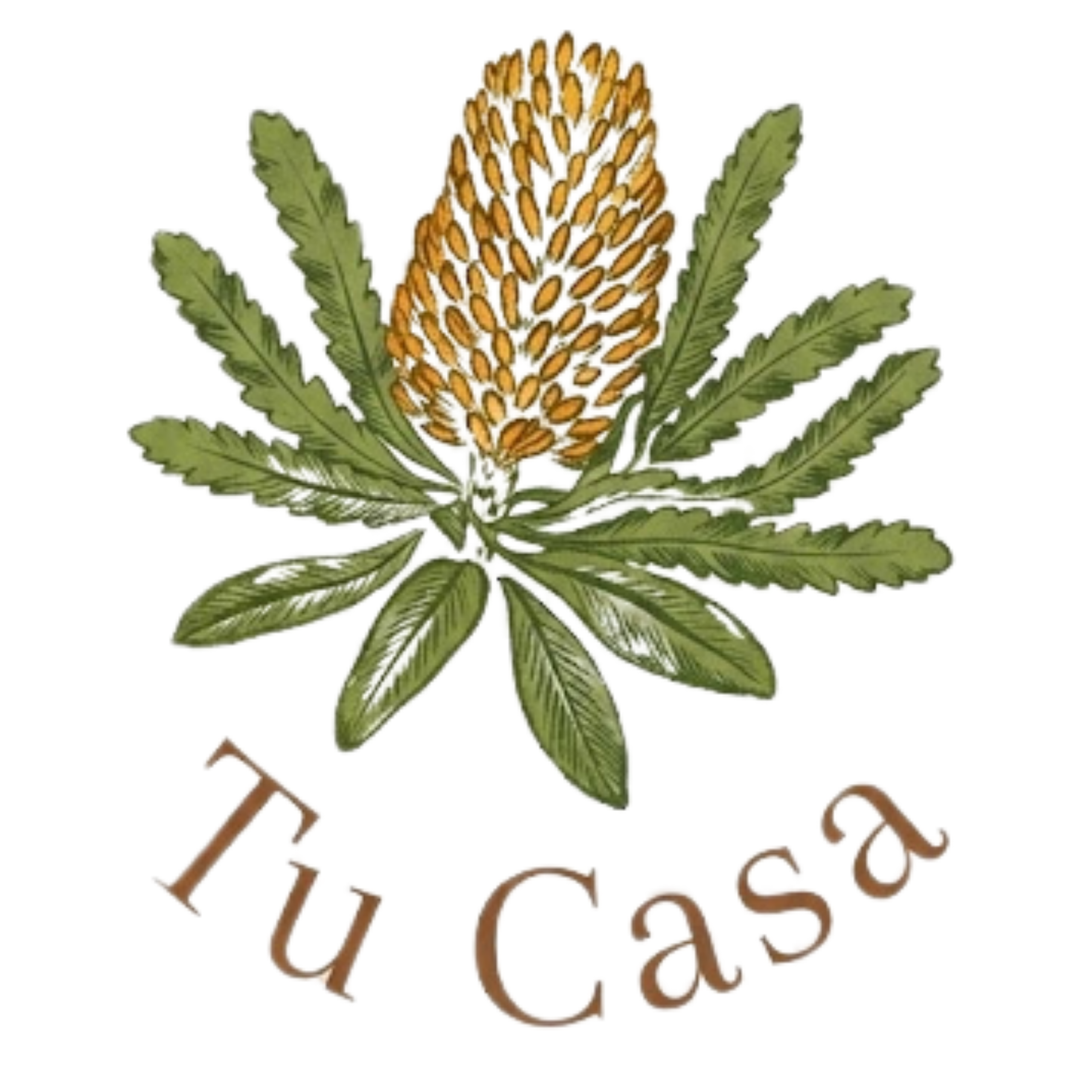 Tu Casa|長久手の肌改善サロン